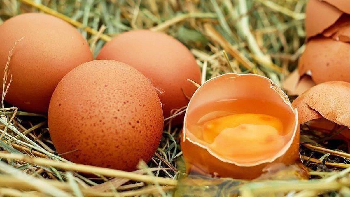 Göz sağlığı için en iyi 10 besin