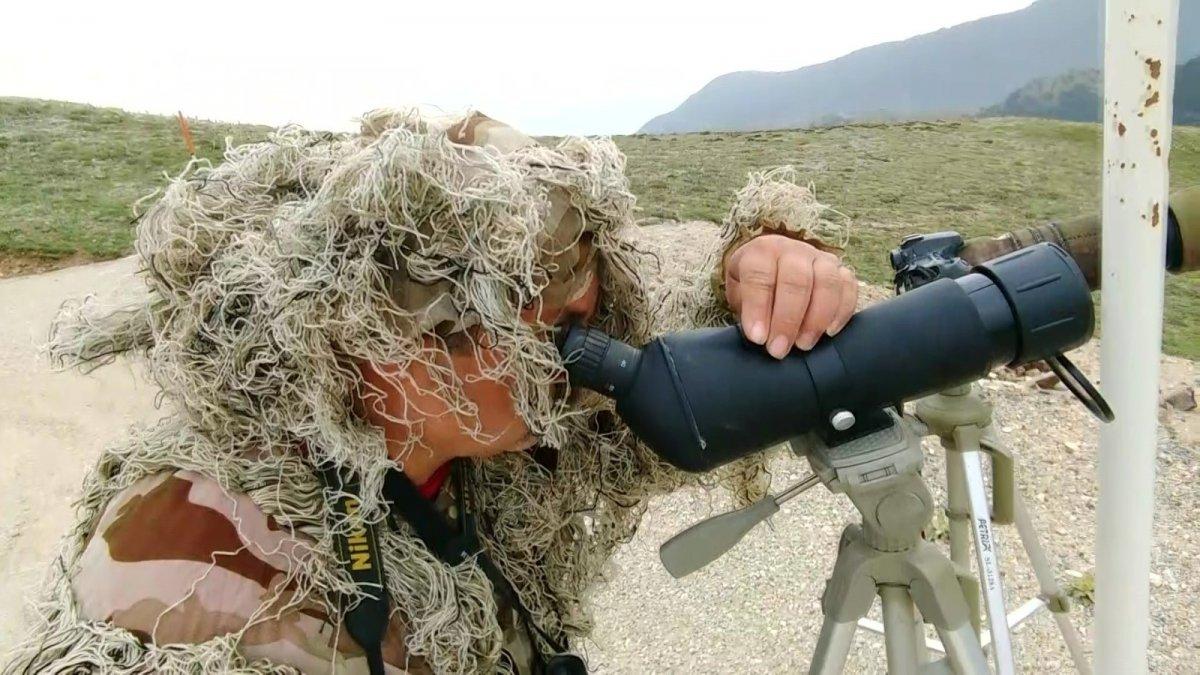 Denizli'de 'yılkı atları' görüntülendi