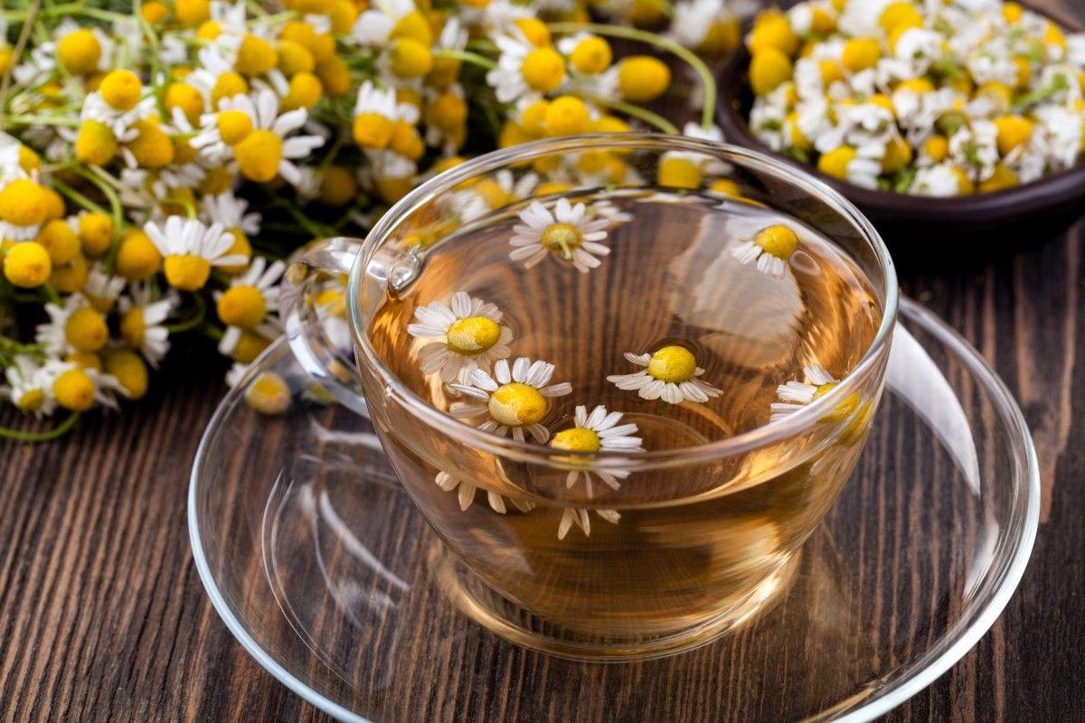 Hem saksıda, hem tabakta: Yenilebilir çiçekler hangileri?