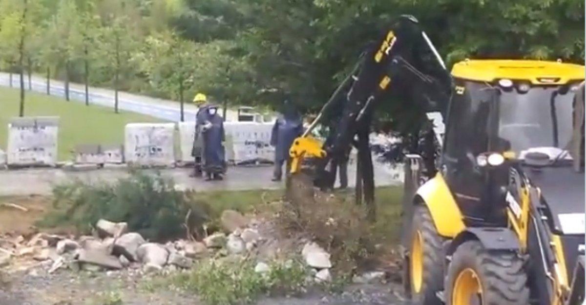 CHP'li Beylikdüzü Belediyesi ağaç katliamı yaptı