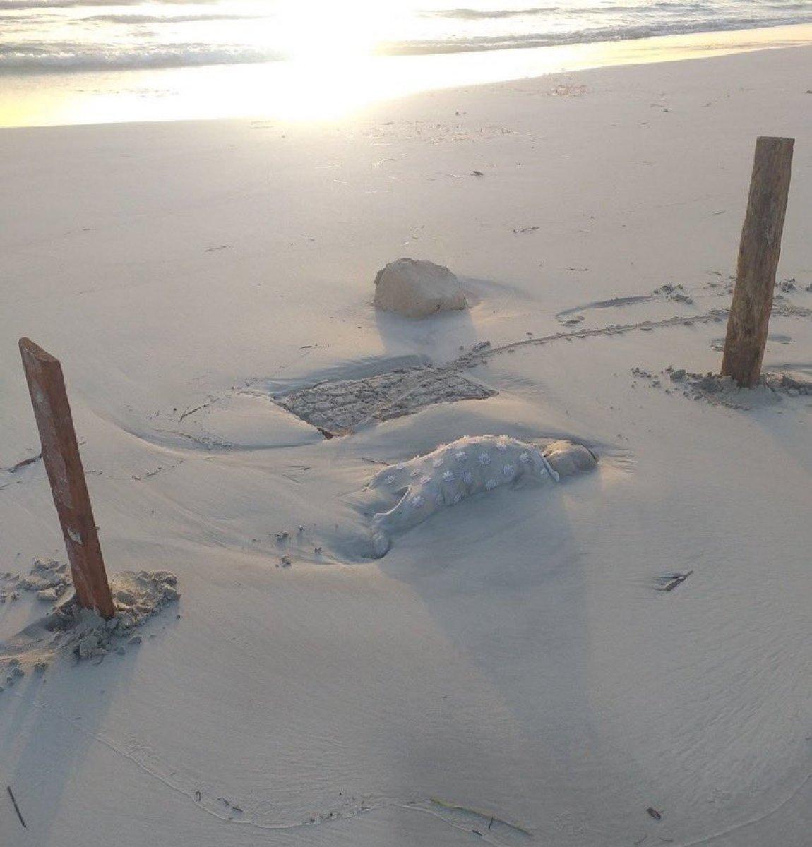 Libya sahilinde cansız bedenler bulundu