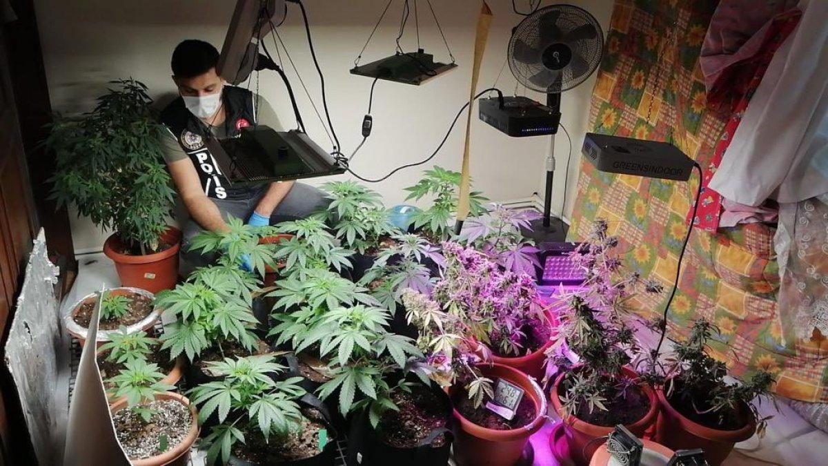 İstanbul'da uyuşturucu operasyonu: 574 kişiye gözaltı kararı