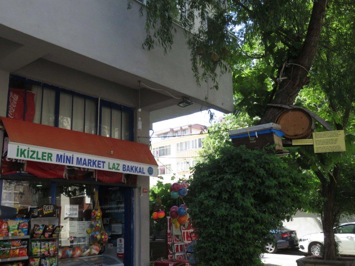 Rizeli bakkal, Kadıköy’ün ortasında arı kovanı kurdu
