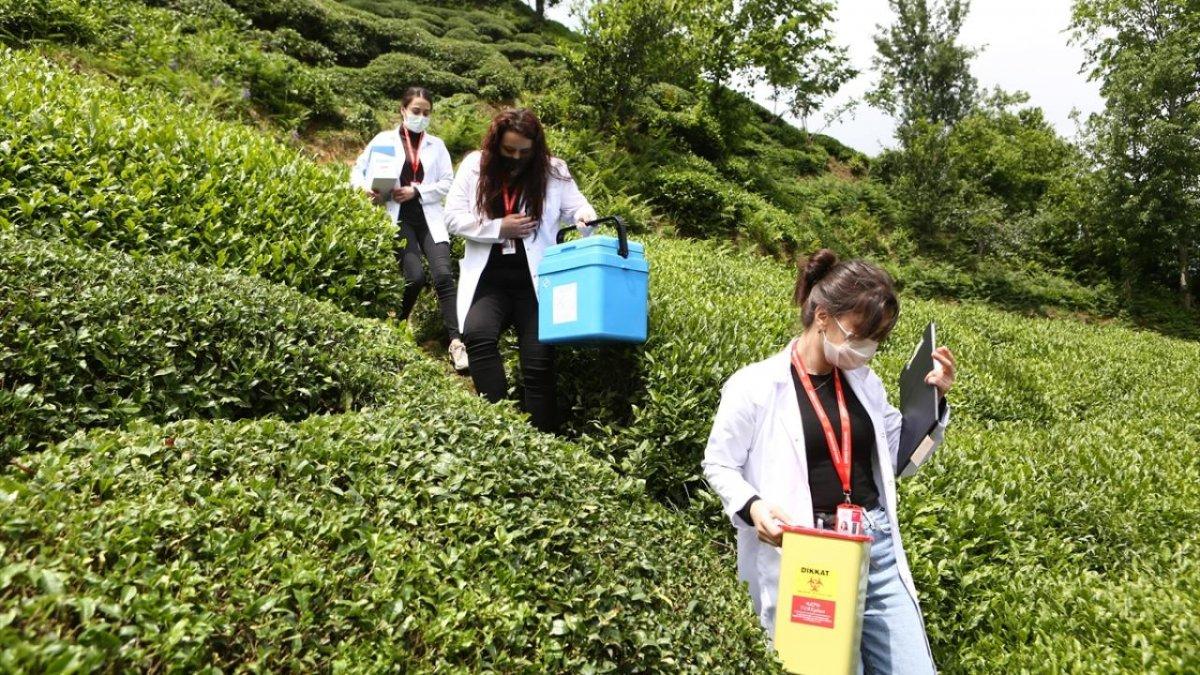 Sağlıkçıların Doğu Karadeniz'in zorlu coğrafyasındaki aşı mesaisi