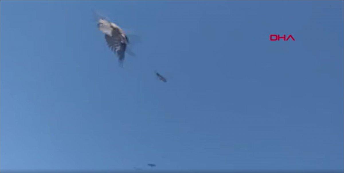 Erzincan’da eve girmek isterken kargalar saldırdı