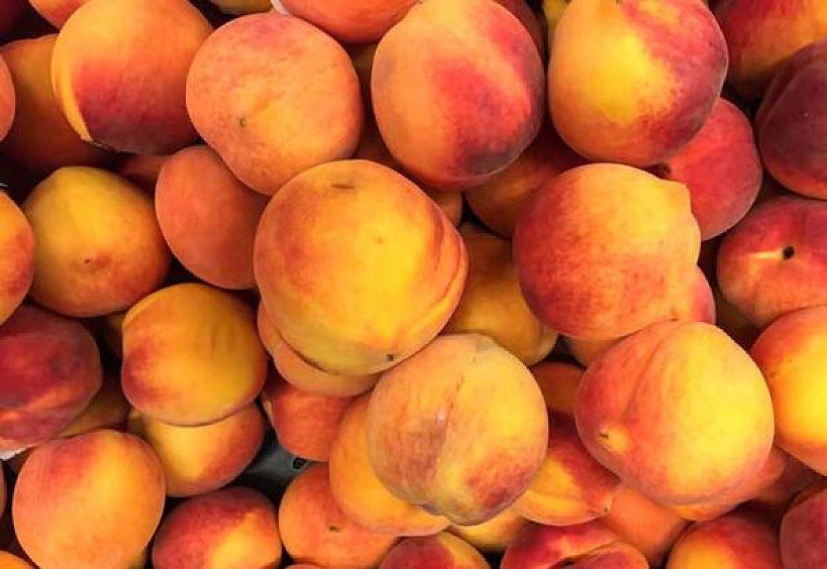 En besleyici 10 yaz meyvesi