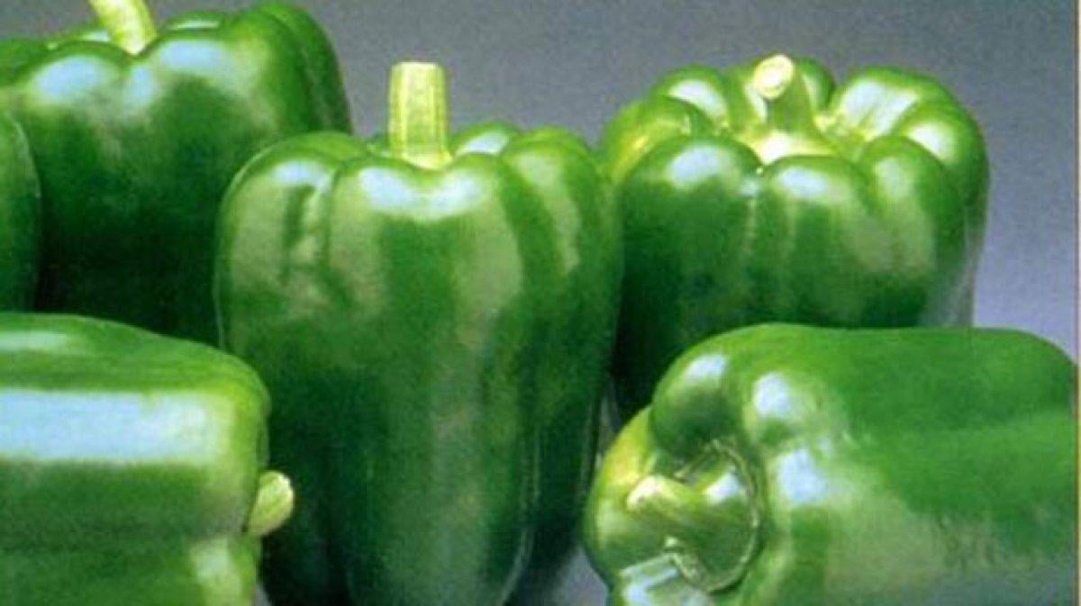 En besleyici 10 yaz meyvesi