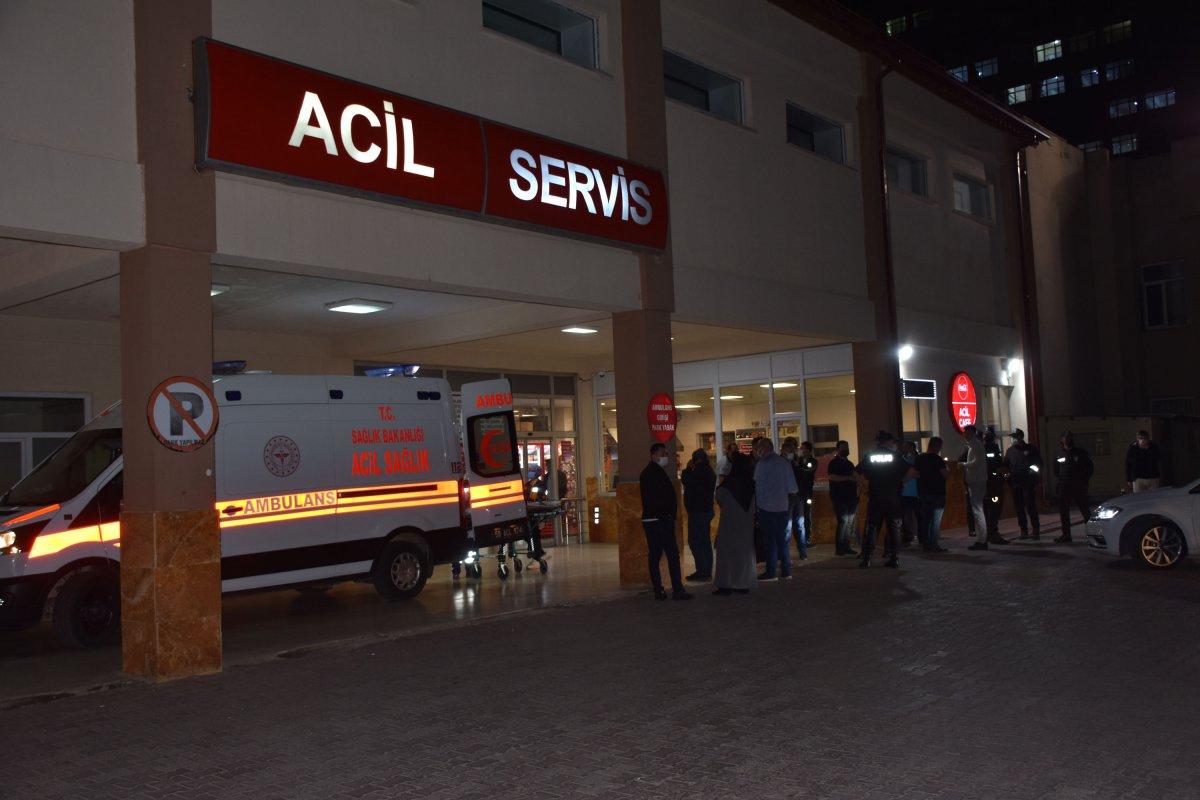 Sivas'ta hayvan otlatma tartışmasında silahlar kullanıldı