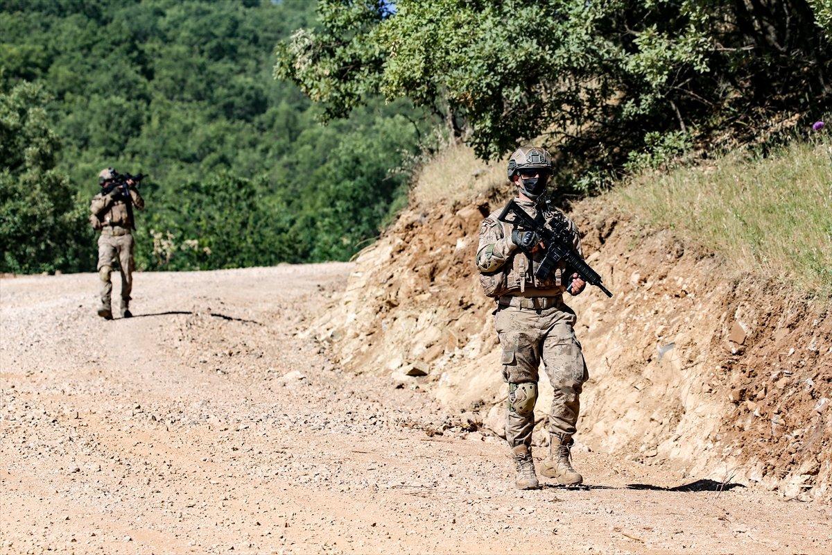 Diyarbakır kırsalında narko-terör operasyonu