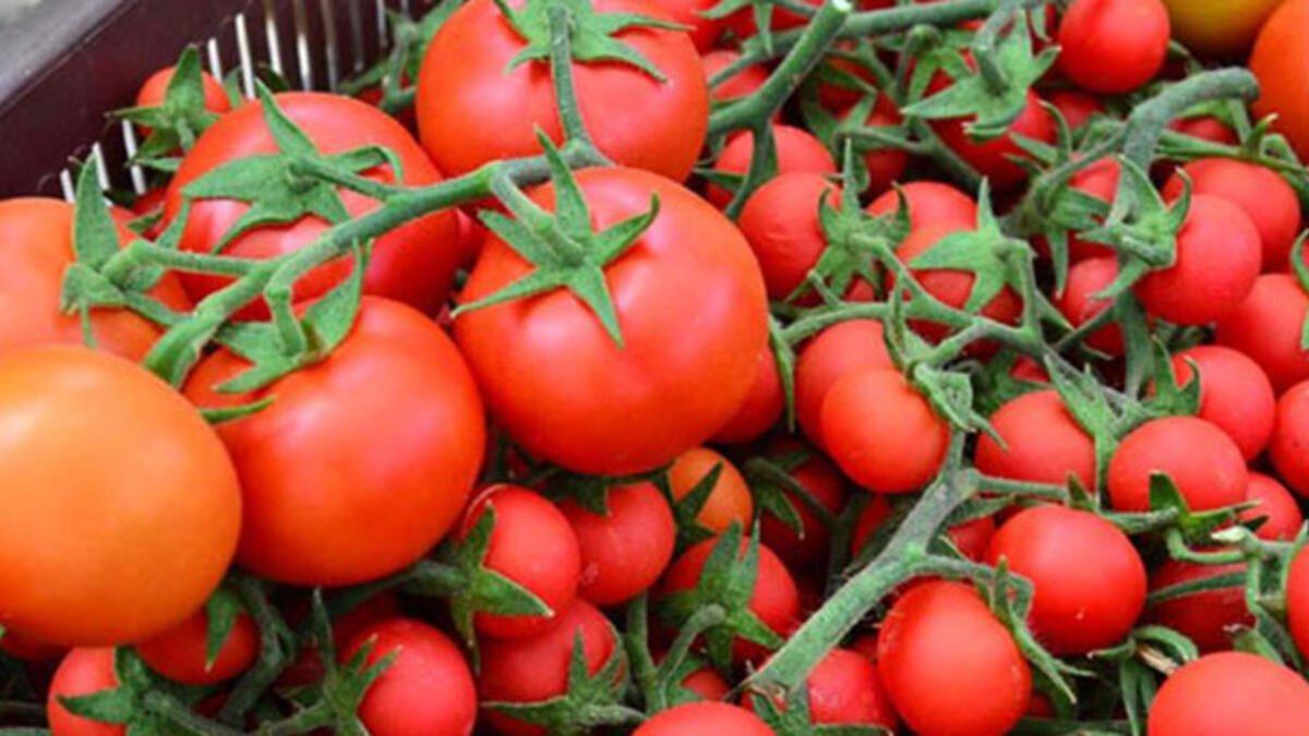 En besleyici 10 yaz meyvesi