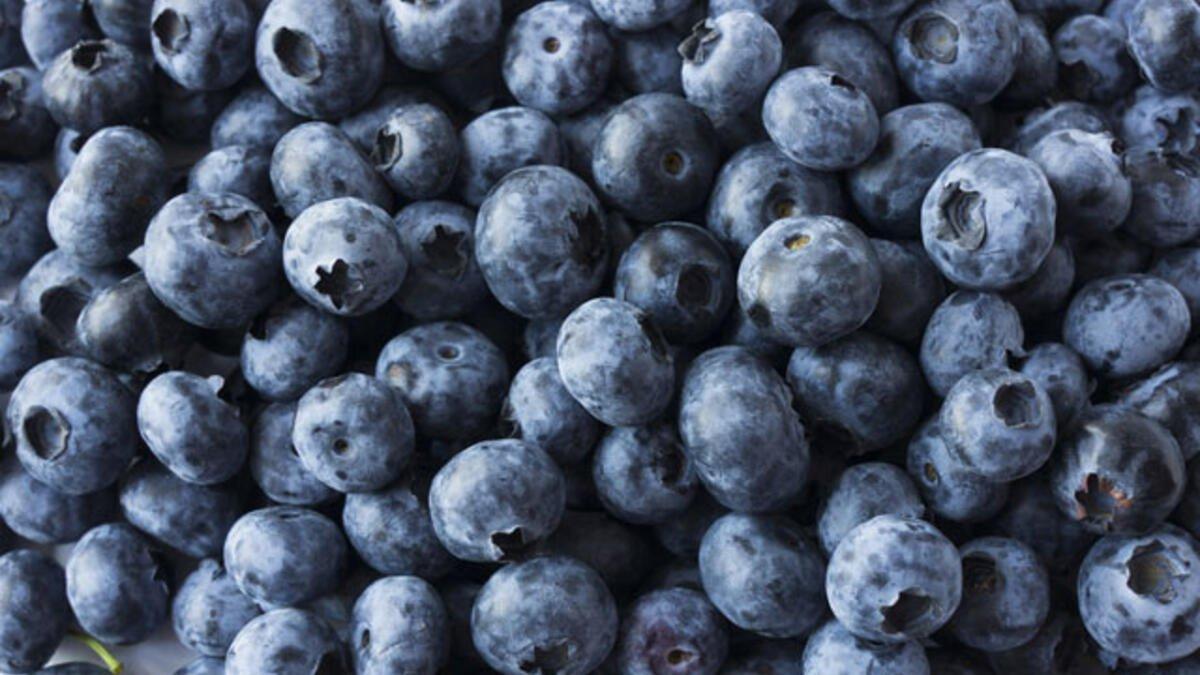 En besleyici 10 yaz meyvesi