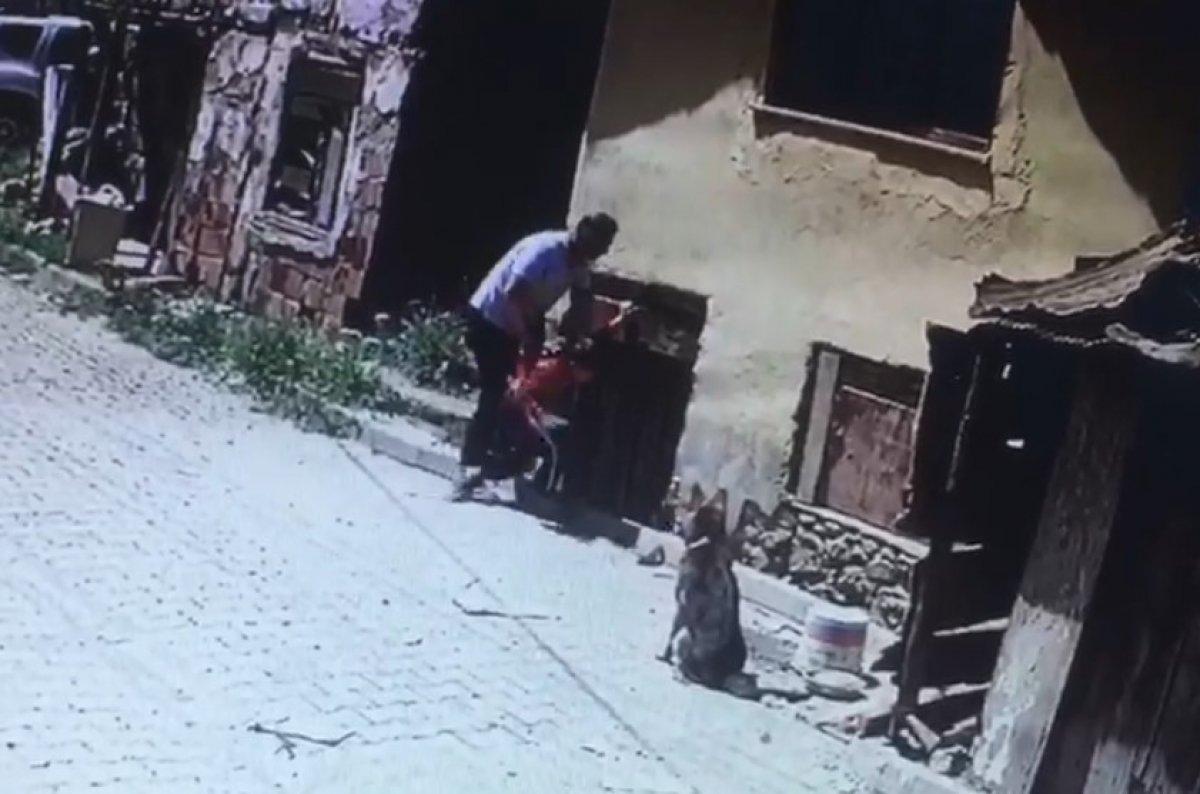 Kastamonu'da çocuğu köpeklerin önüne atan cani