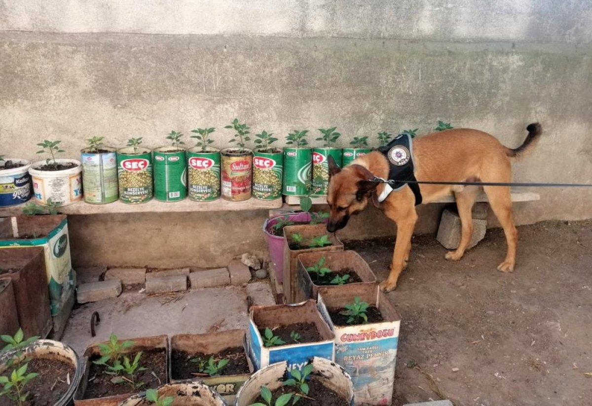 Osmaniye’de uyuşturucu operasyonu