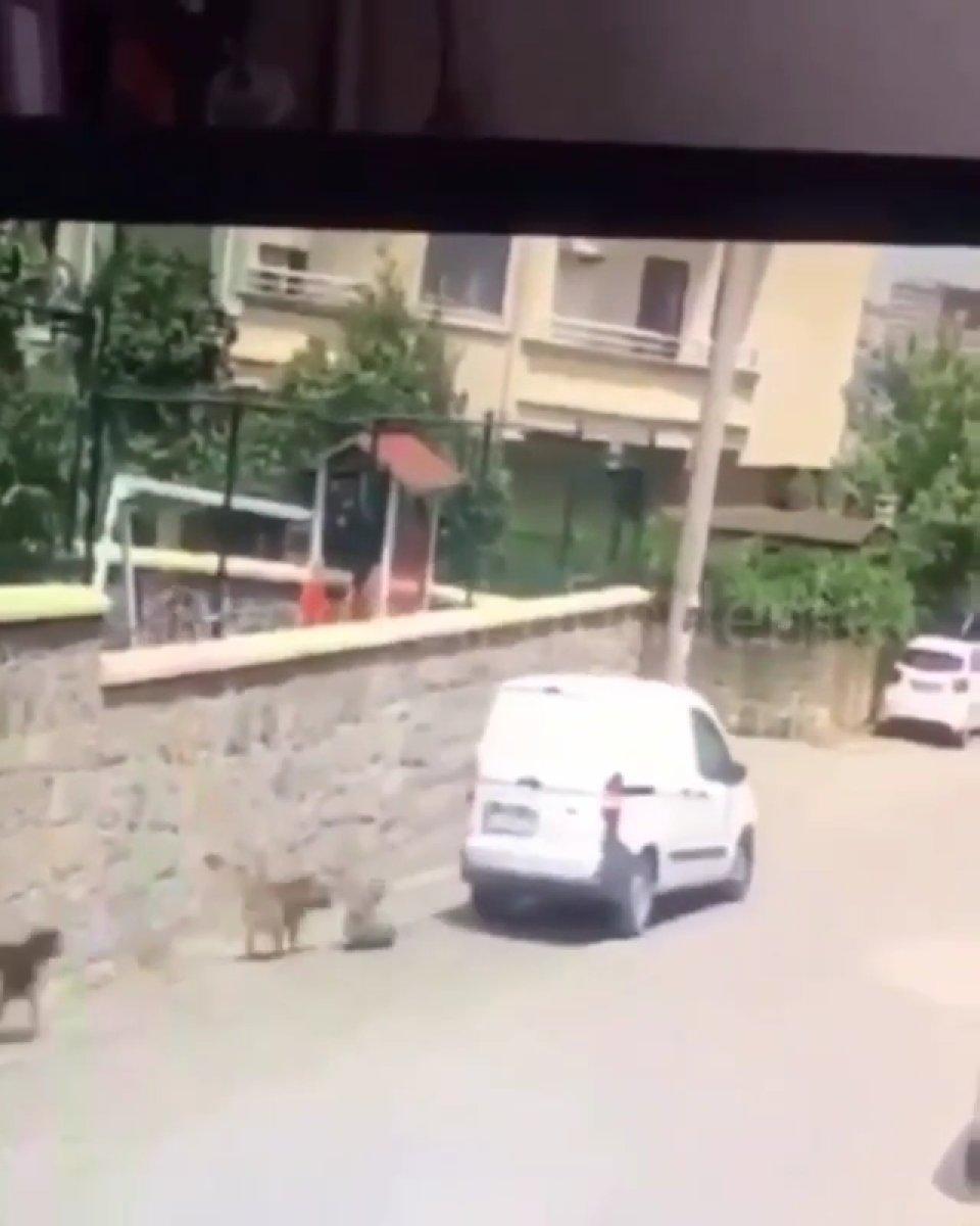 Gebze'de aracın köpeği ezdiği anlar