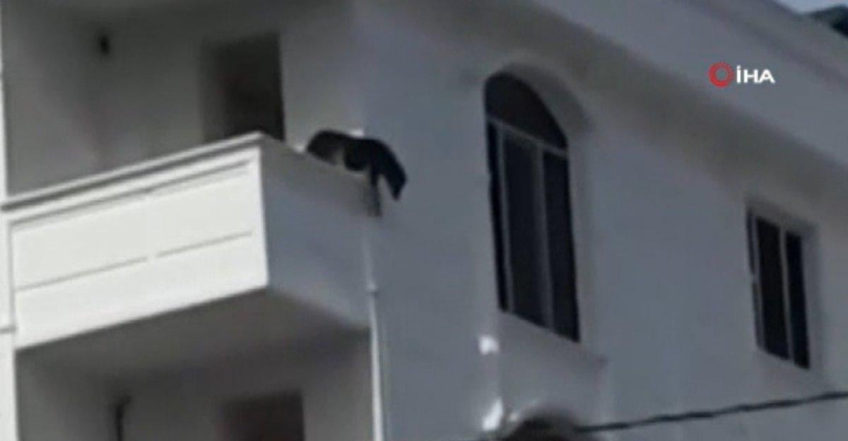 Sultangazi’de köpek çıkış yolunu bulamadı, balkondan atladı