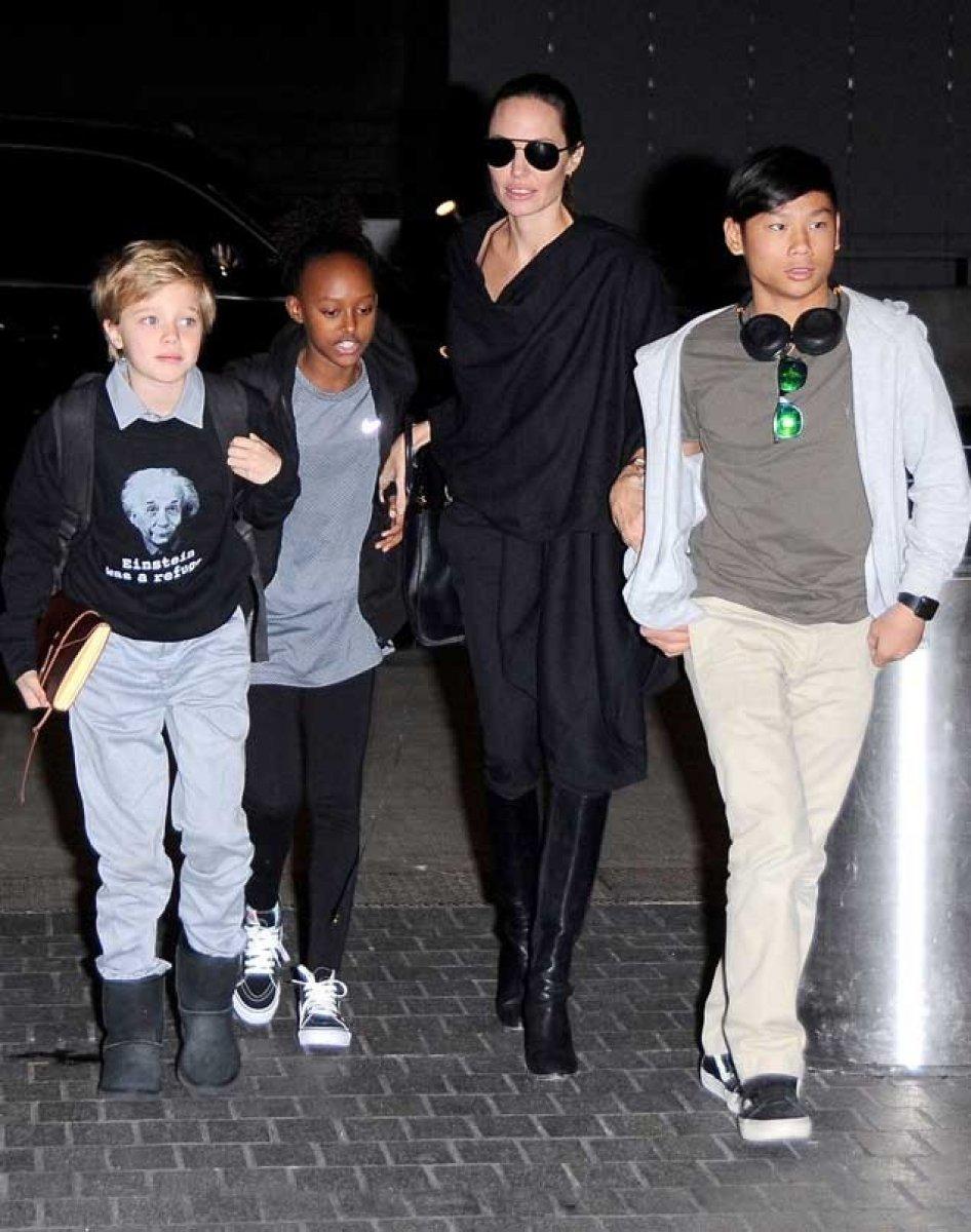 Brad Pitt velayet davasını kazandı