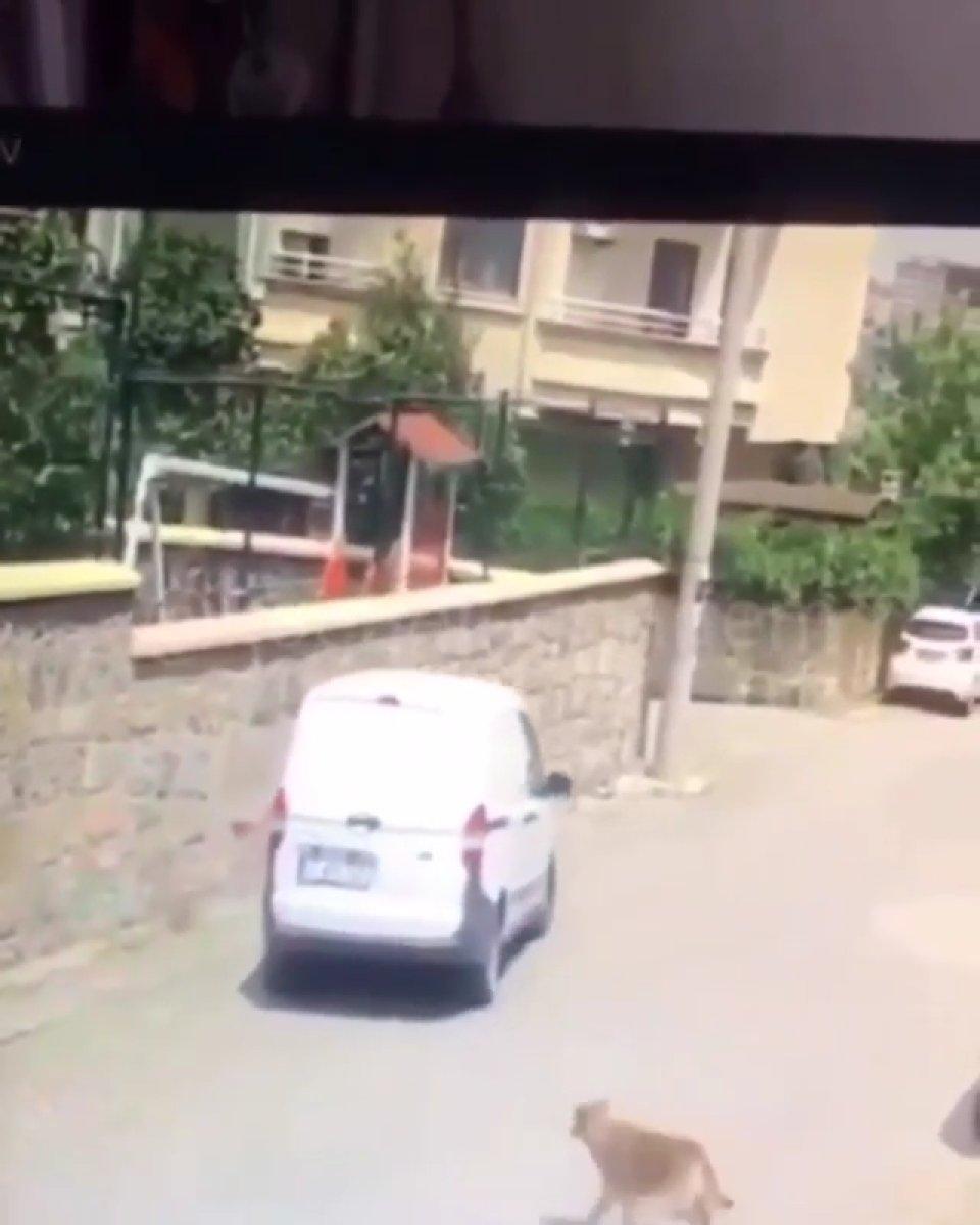 Gebze'de aracın köpeği ezdiği anlar