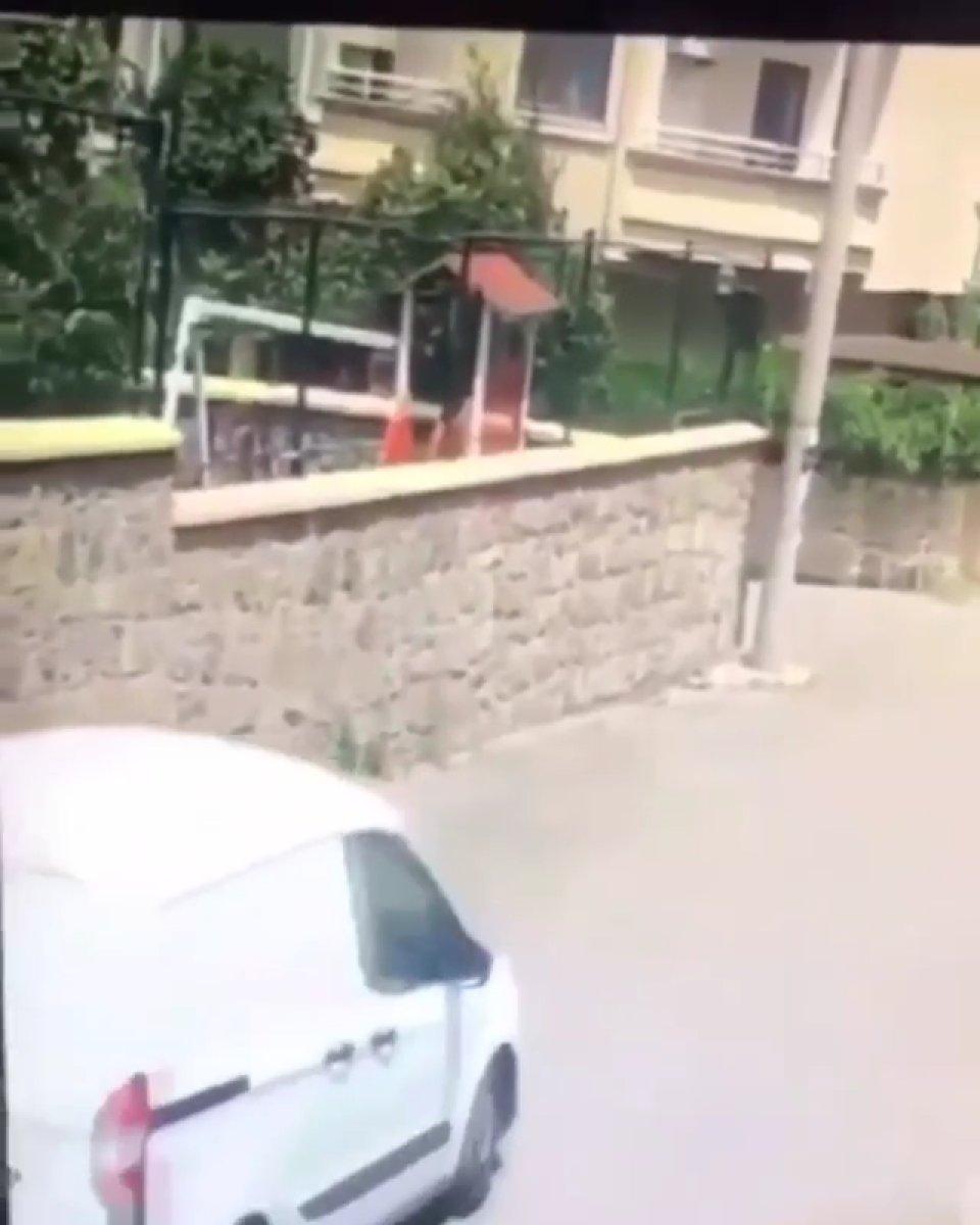 Gebze'de aracın köpeği ezdiği anlar