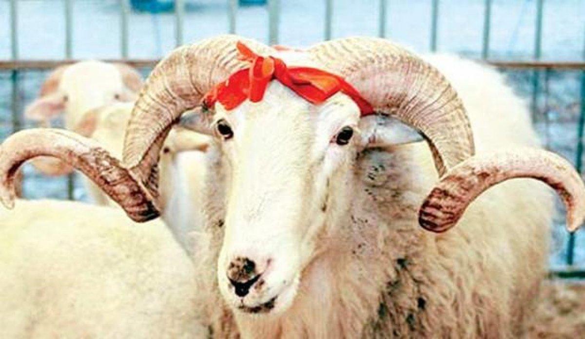 Kurban Bayramı ikramiyesi ne zaman ödenecek? Emeklilere kurban ikramiyesi 2021