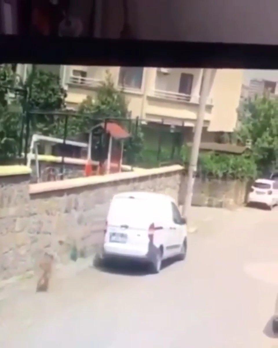 Gebze'de aracın köpeği ezdiği anlar