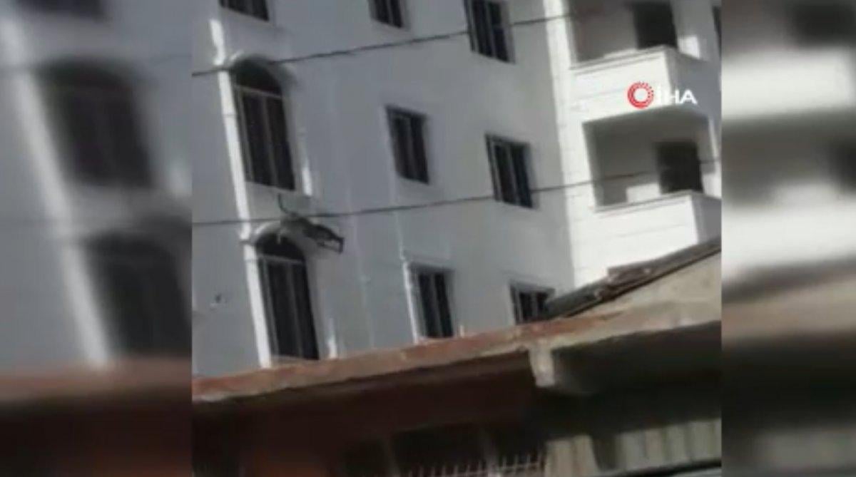 Sultangazi’de köpek çıkış yolunu bulamadı, balkondan atladı