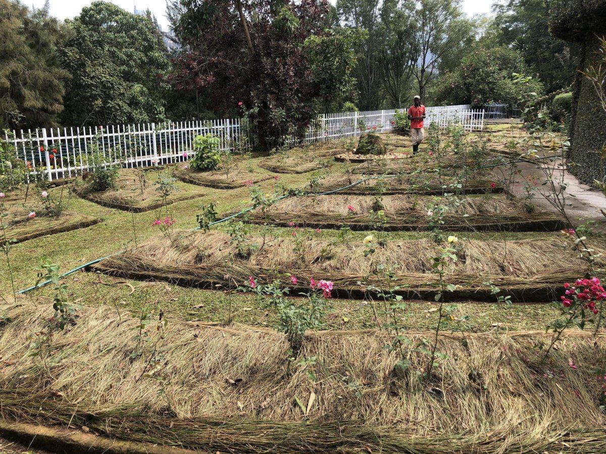 Emmanuel Macron: Ruanda Soykırımı’nda Fransa’nın sorumluluğu var