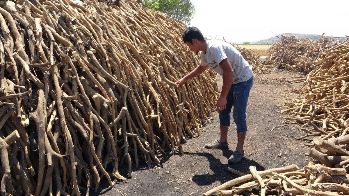 Mangal kömürünün yolculuğu