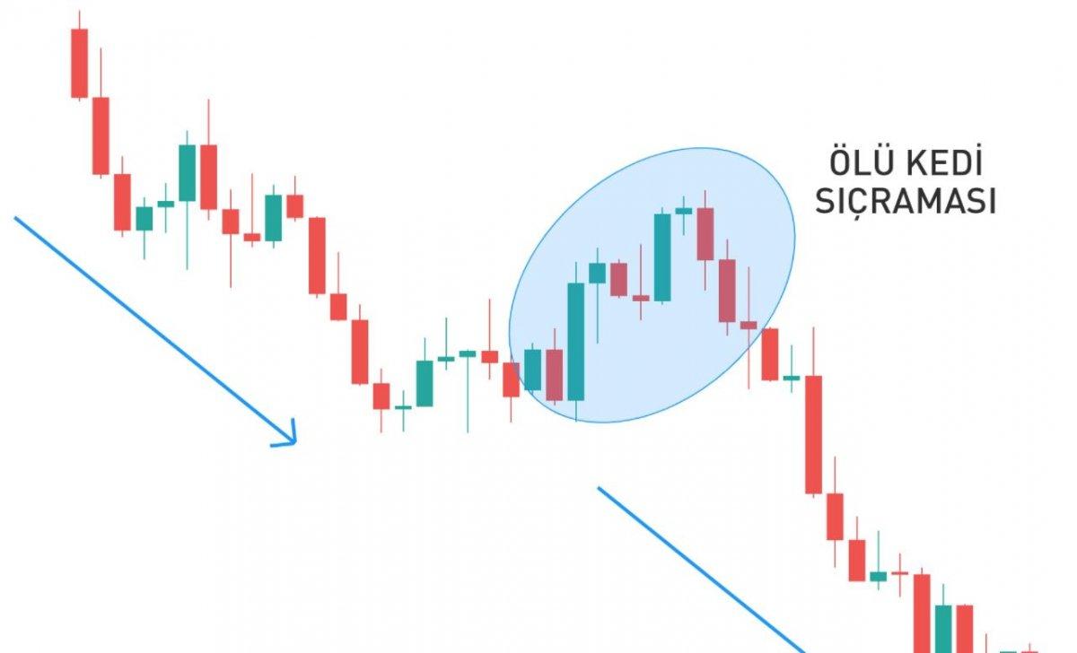 ölü kedi sıçraması nedir