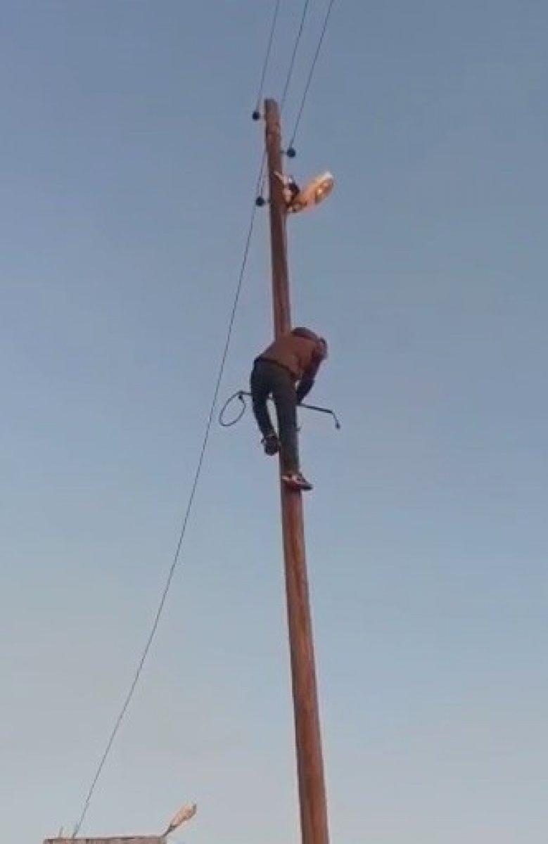 Mardin'de direkte mahsur kalan kedi, kurtarmaya çıkan vatandaşı taklit etti