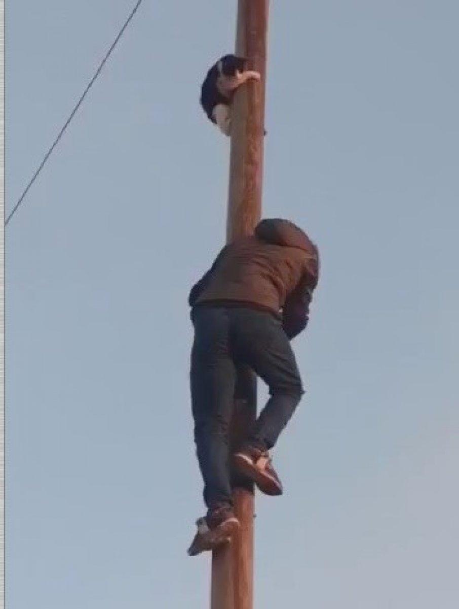 Mardin'de direkte mahsur kalan kedi, kurtarmaya çıkan vatandaşı taklit etti