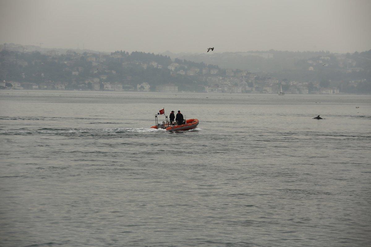 İstanbul Boğazı'nda, yağmurla birlikte yunus balıkları görüldü