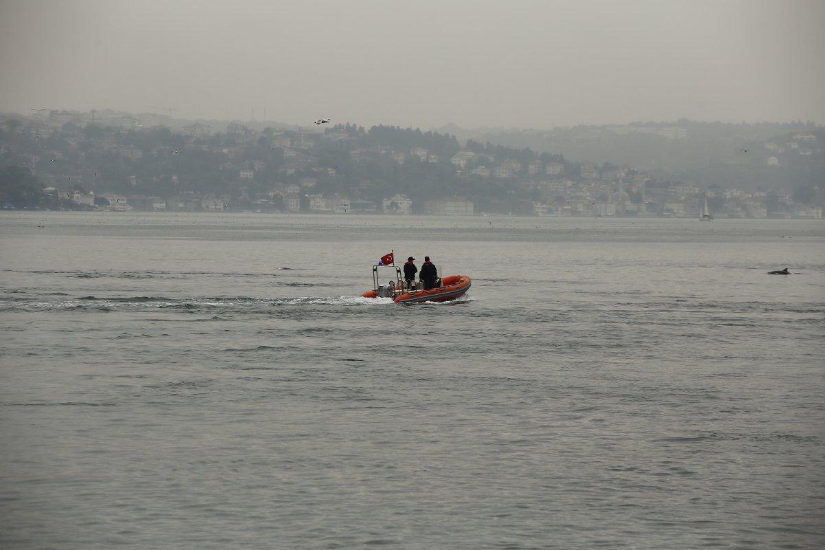 İstanbul Boğazı'nda, yağmurla birlikte yunus balıkları görüldü
