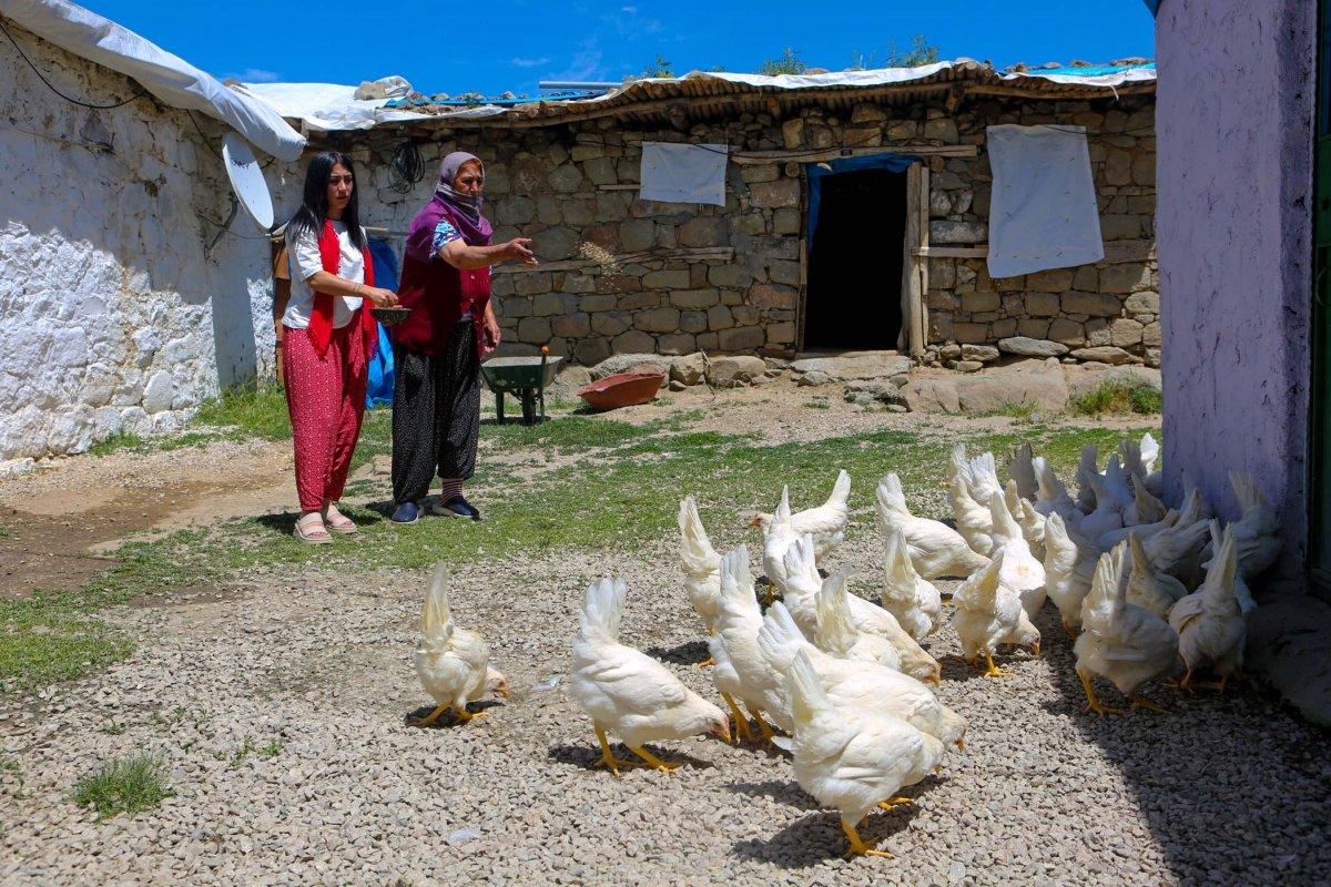 Tunceli'de köy köy gezip canlı tavuk dağıttılar