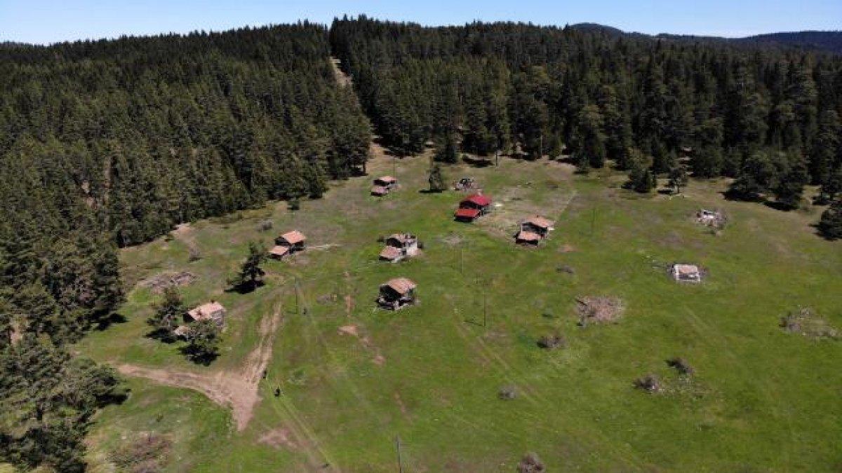 Kastamonu yaylaları ziyaretçilerini bekliyor