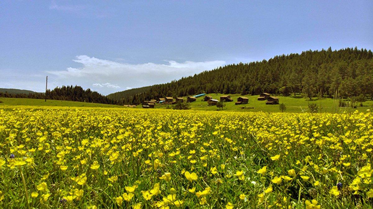 Kastamonu yaylaları ziyaretçilerini bekliyor