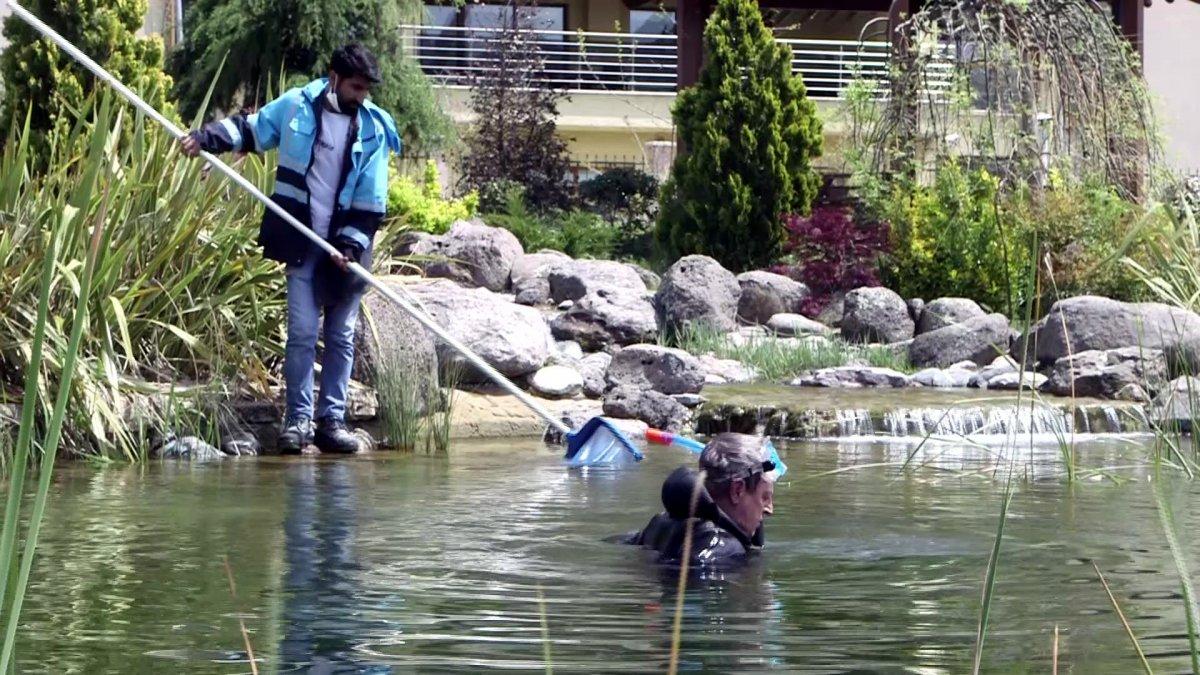 Beylikdüzü’nde nesli tükenmek üzere olan Fırat Kaplumbağası bulundu