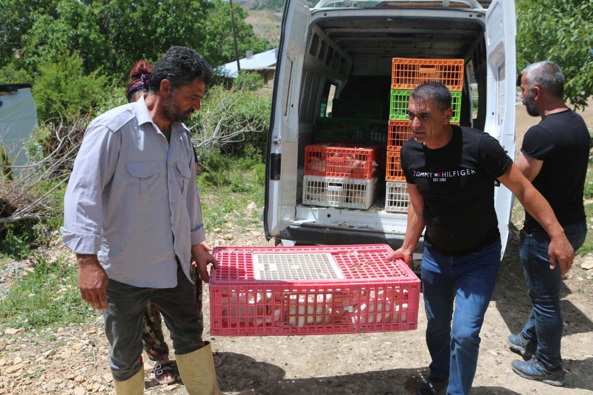 Tunceli'de köy köy gezip canlı tavuk dağıttılar