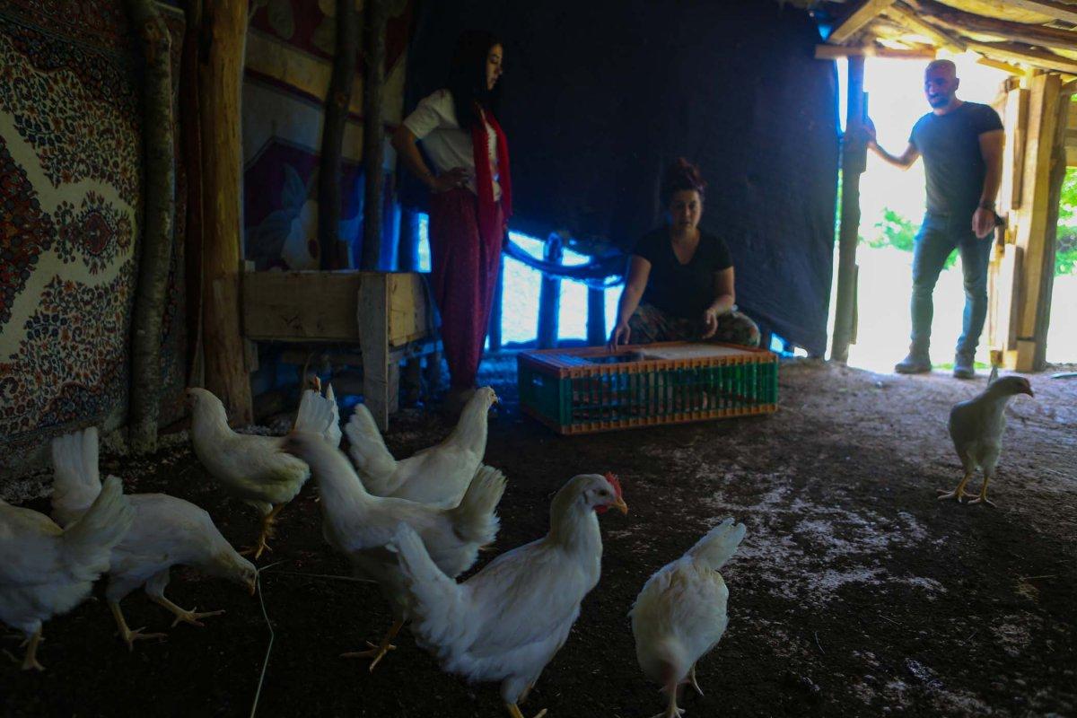 Tunceli'de köy köy gezip canlı tavuk dağıttılar