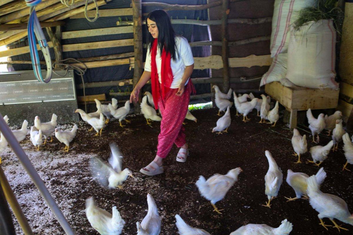 Tunceli'de köy köy gezip canlı tavuk dağıttılar