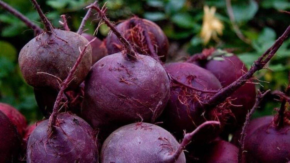 Her gün tüketmeniz gereken 10 vitamin