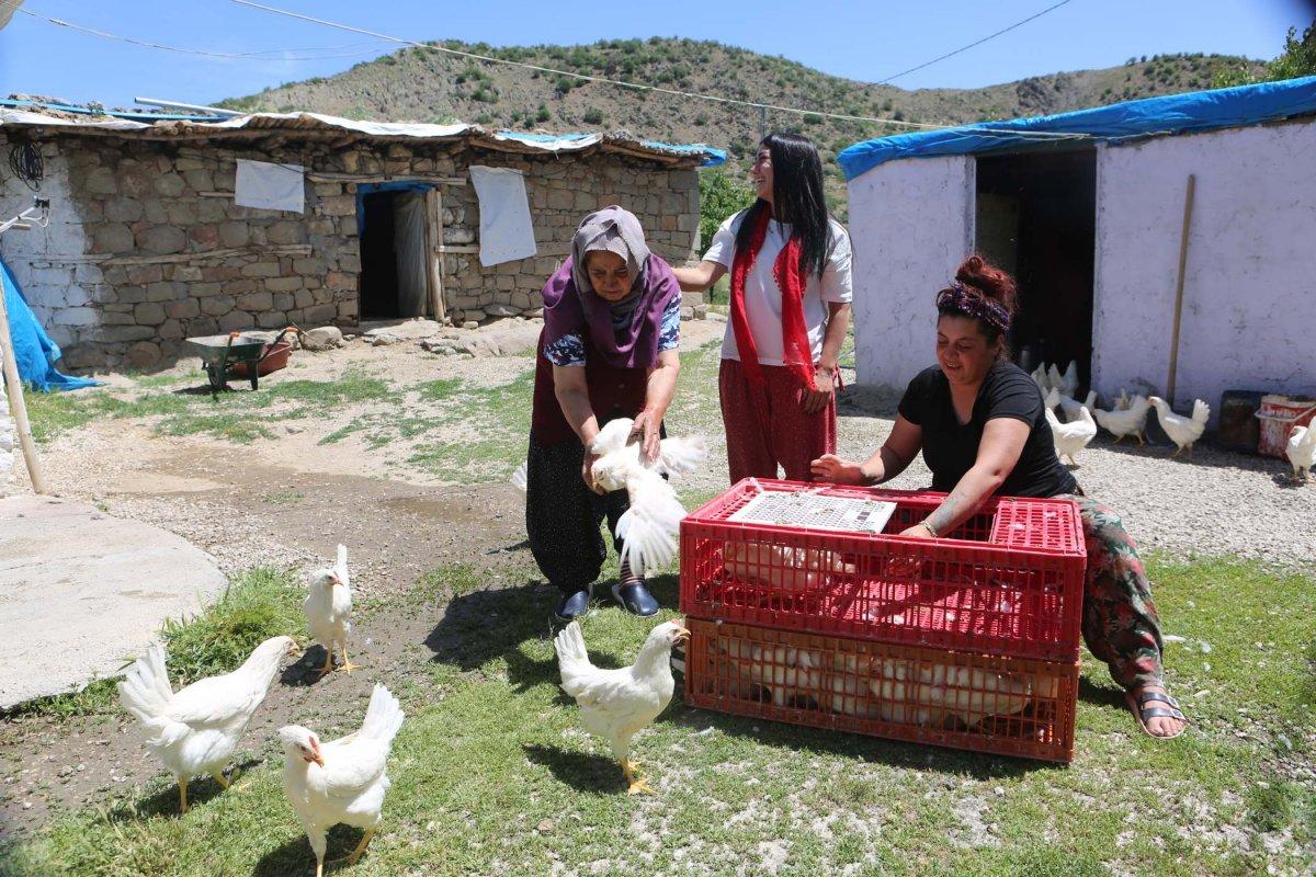 Tunceli'de köy köy gezip canlı tavuk dağıttılar