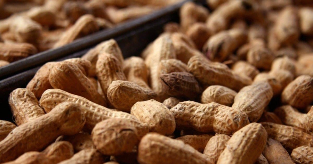 Her gün tüketmeniz gereken 10 vitamin