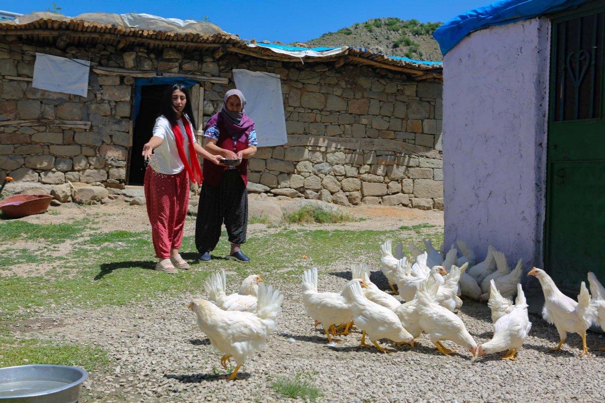 Tunceli'de köy köy gezip canlı tavuk dağıttılar
