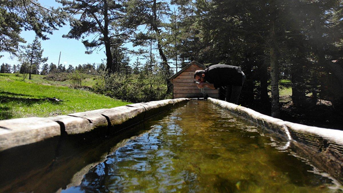 Kastamonu yaylaları ziyaretçilerini bekliyor