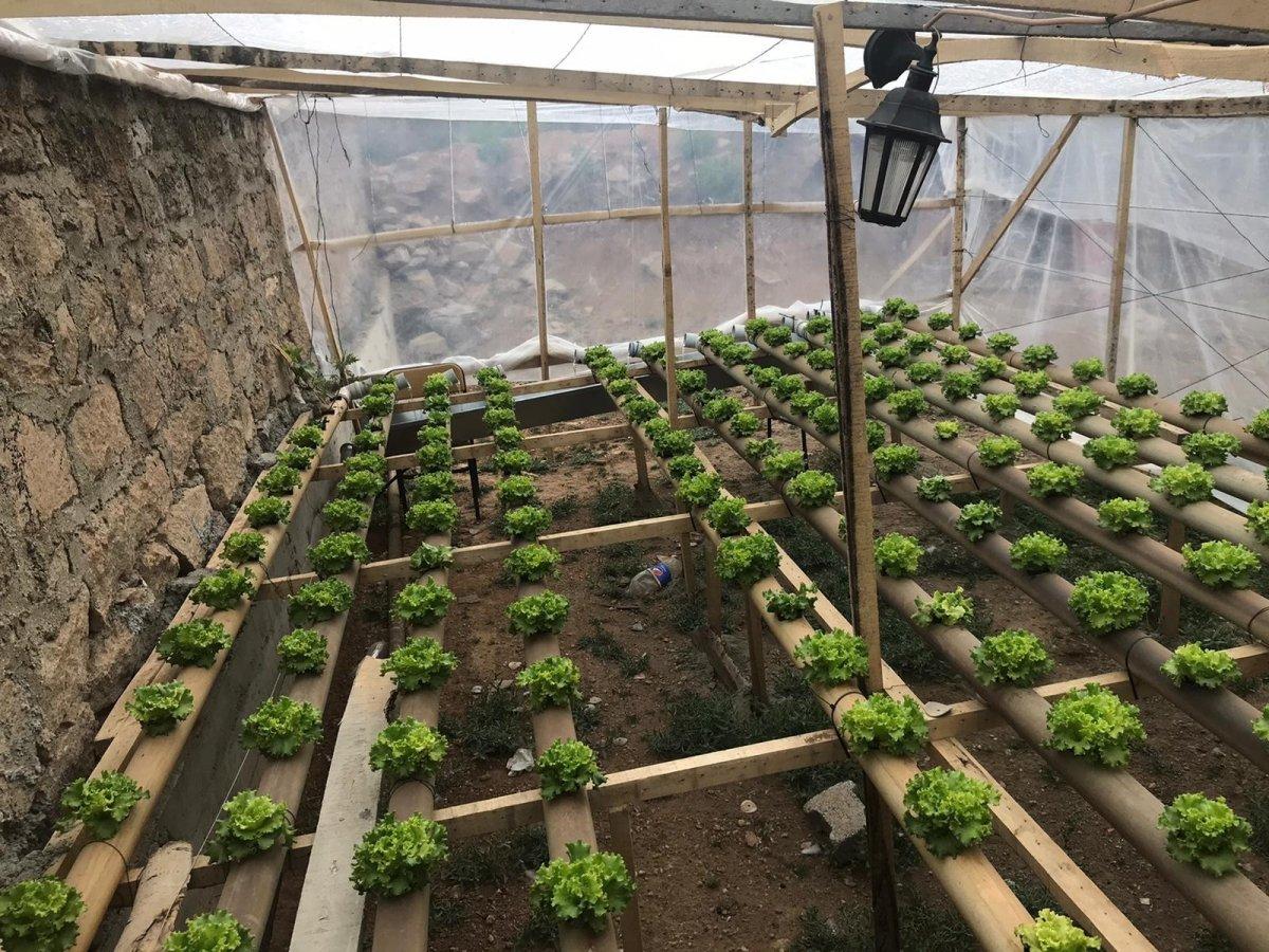 Topraksız seranın maliyeti daha az