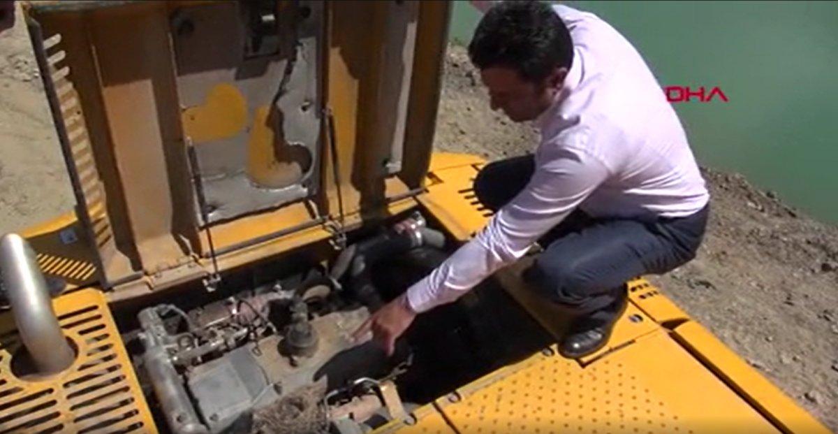 Tokat’ta iş makinesinin motor kısmında, 6 kuş yumurtadan çıktı