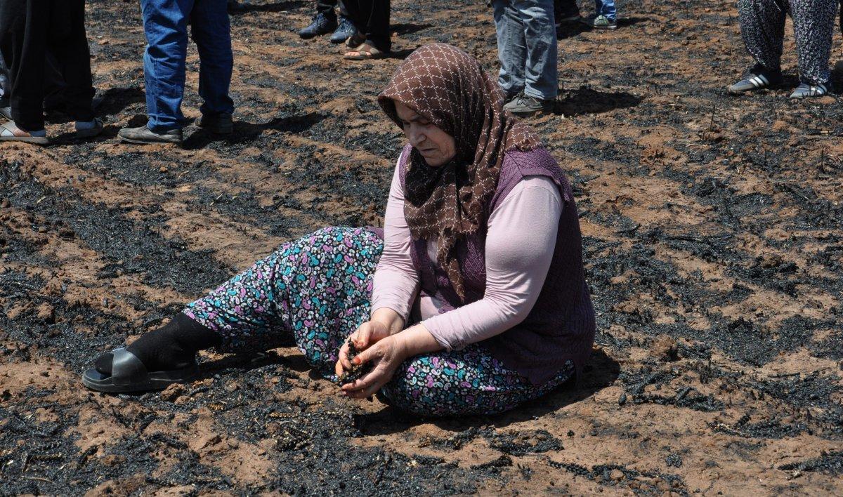Gaziantep'te buğday ekili tarla küle döndü