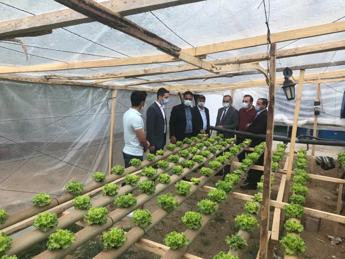 Topraksız seranın maliyeti daha az