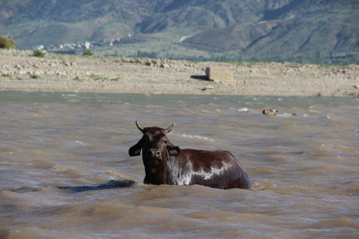 Sivas'ta Kılıçkaya Barajı, Afrika’yı aratmıyor