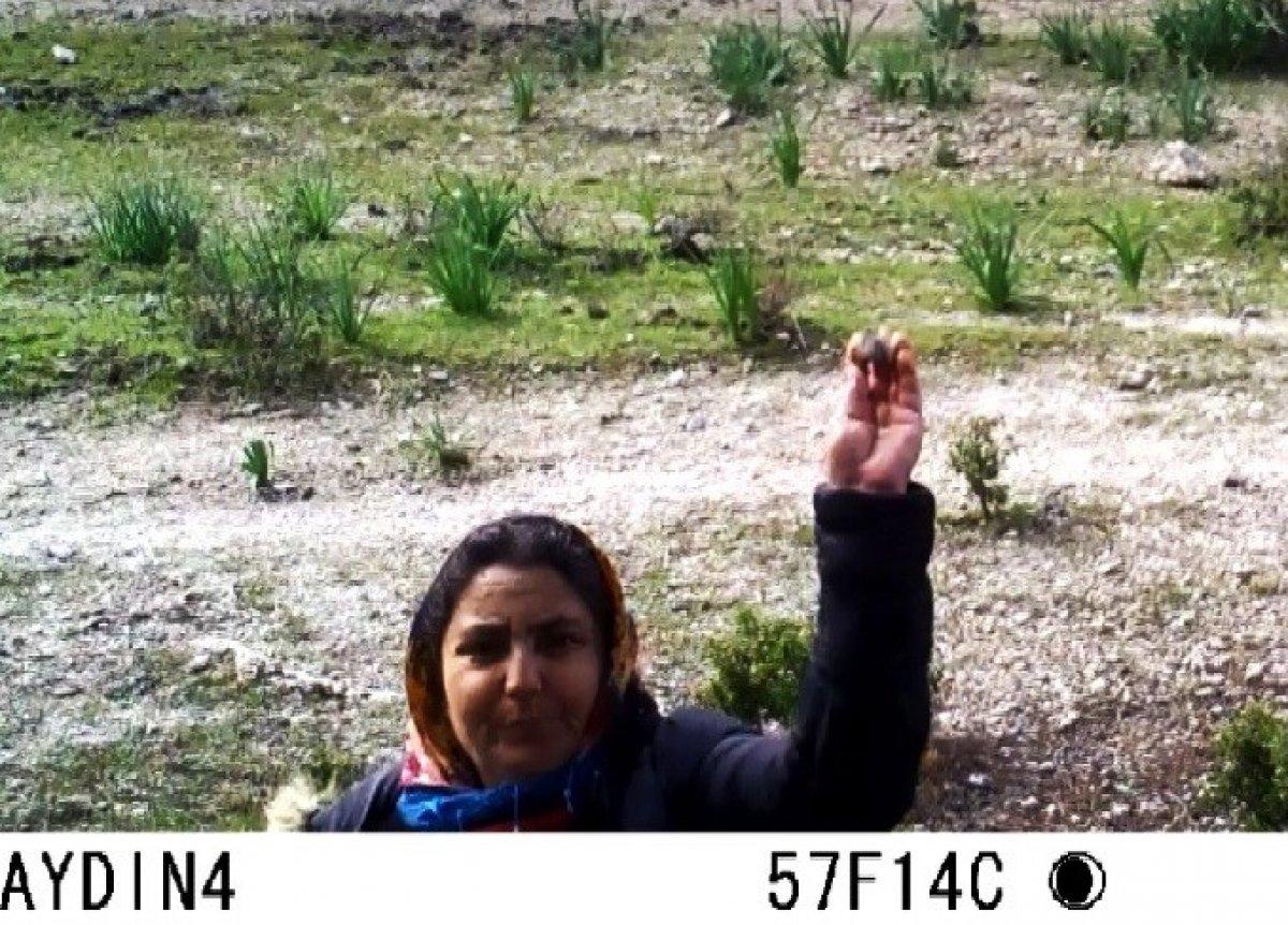 Aydın’da fotokapana taş atan kadın